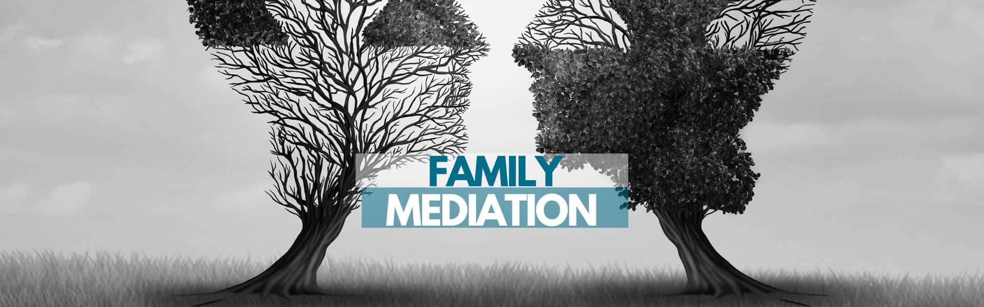 Family Mediation Lawyer Sydney