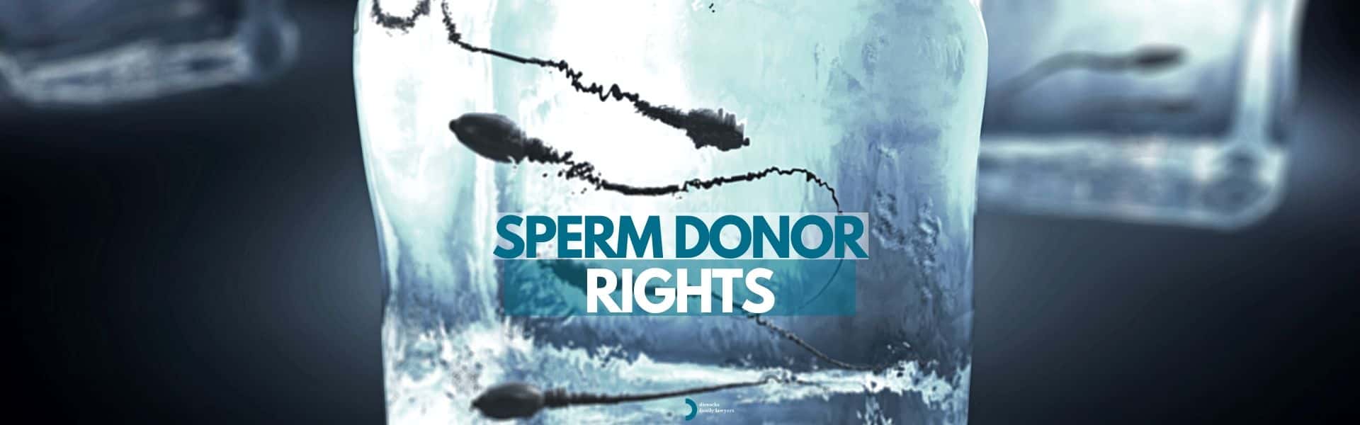 Sperm Donor Agreement Rights Sydney Family Lawyer